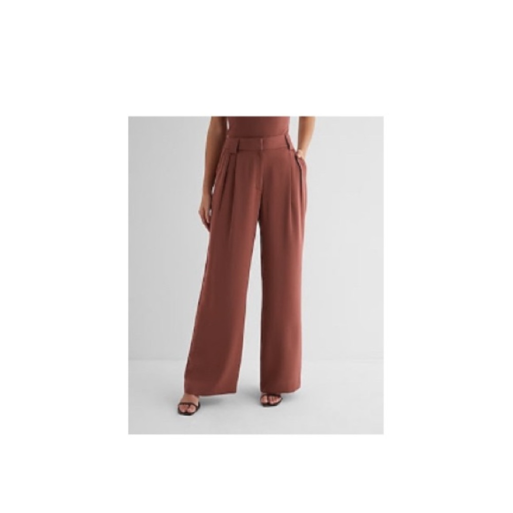Express Stylist High Waisted Pleated Wide Leg Pant, Rust, Size 8